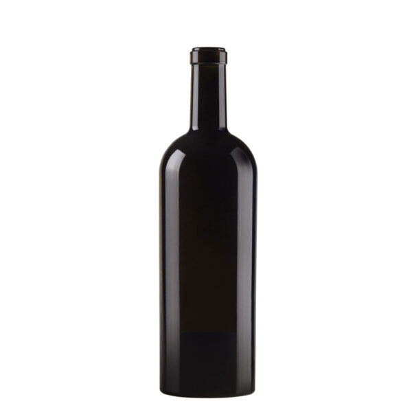 CONICA OLIVE